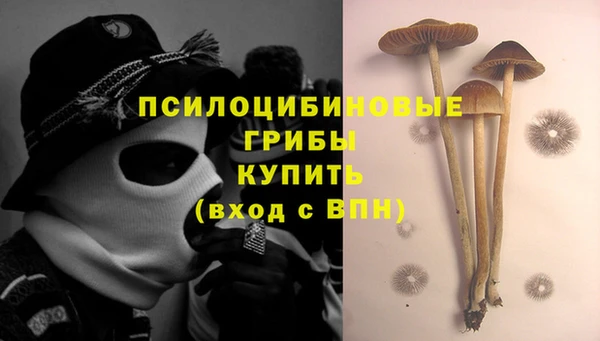 метадон Армянск
