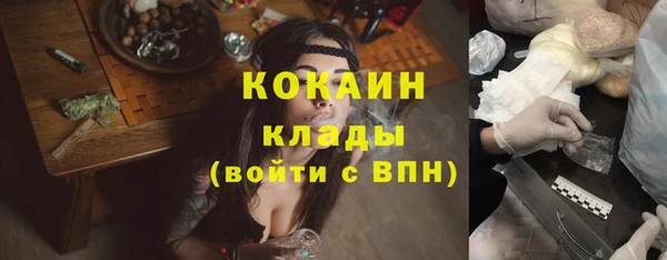 шишки Баксан