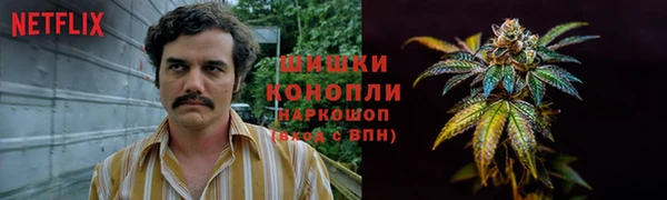 шишки Баксан