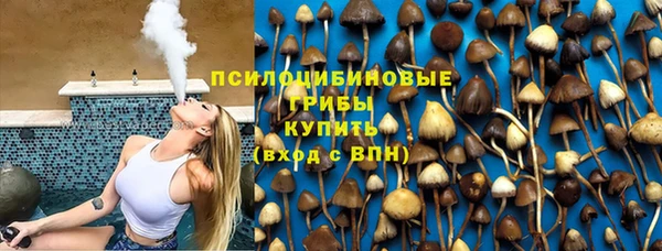 круглые Арсеньев
