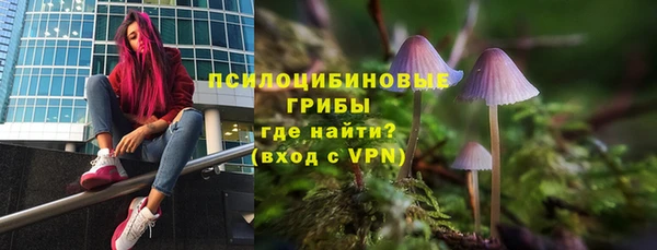шишки Балабаново