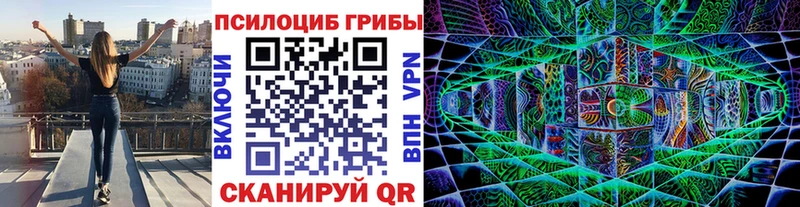 Псилоцибиновые грибы MAGIC MUSHROOMS  наркота  Спас-Деменск 
